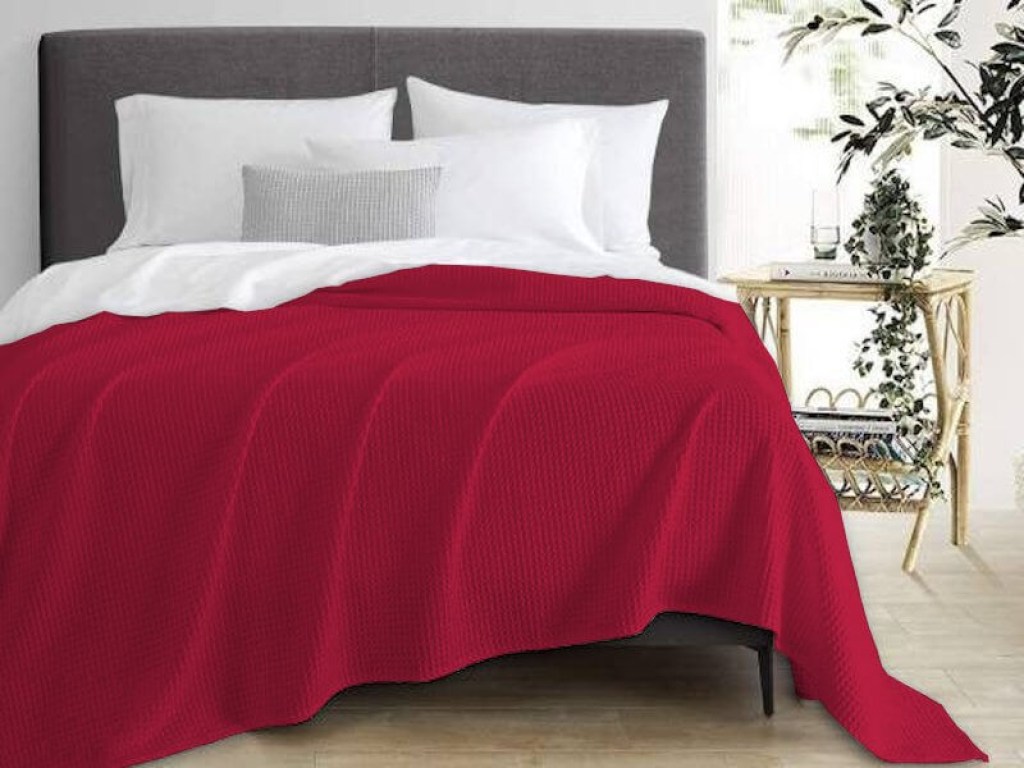 Κουβέρτα Υπέρδιπλη Πικέ Βαμβακερή Μπορντό Γαρύφαλλο 230x250 | Γαρύφαλλο - Λευκά Είδη